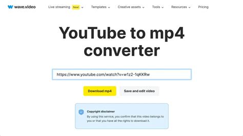 YouTube to MP4 Converter .
